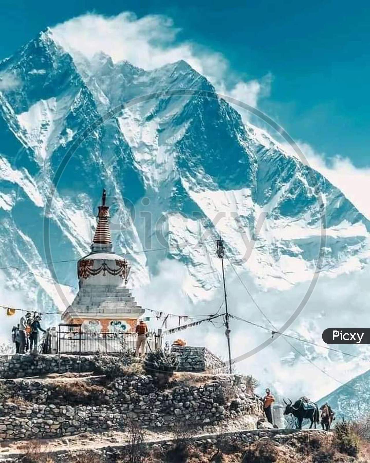 Himalayan region live mountain