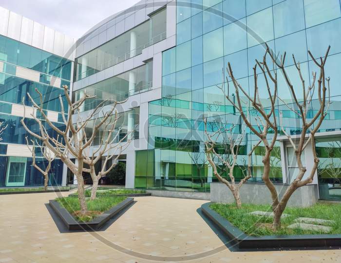 Chennai - India / TN - January 2020 : Bald tree with no leaves outside a corporate building