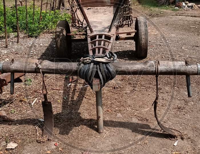 Bullock Cart at farm
