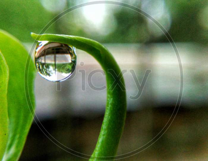 One Drop Water