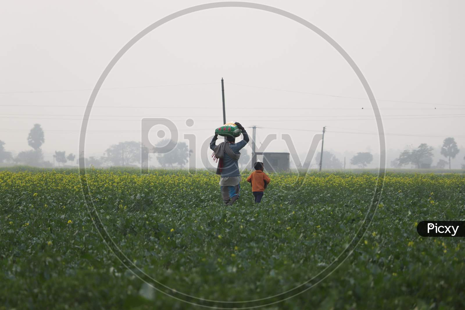 Farmer And His Son Stock Footage