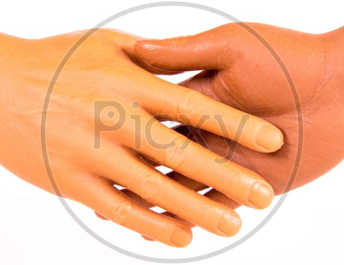 Human Hand Shake
