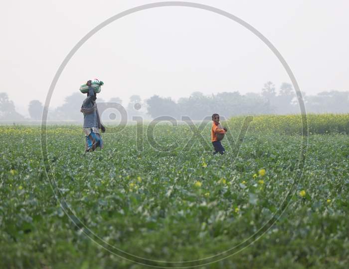Farmer And His Son On A Field Stock Footage