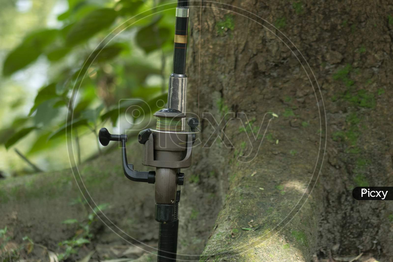 Image of Fishing Rod Spinning And Reel With Nature-TZ519857-Picxy
