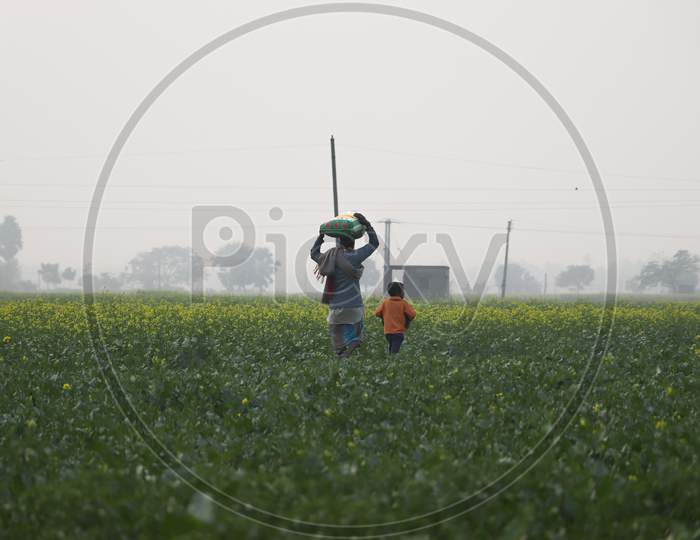 Farmer And His Son Stock Footage