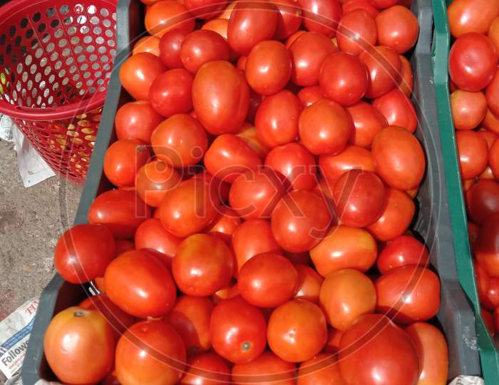 Fresh Tasty And Healthy Tomato Stock