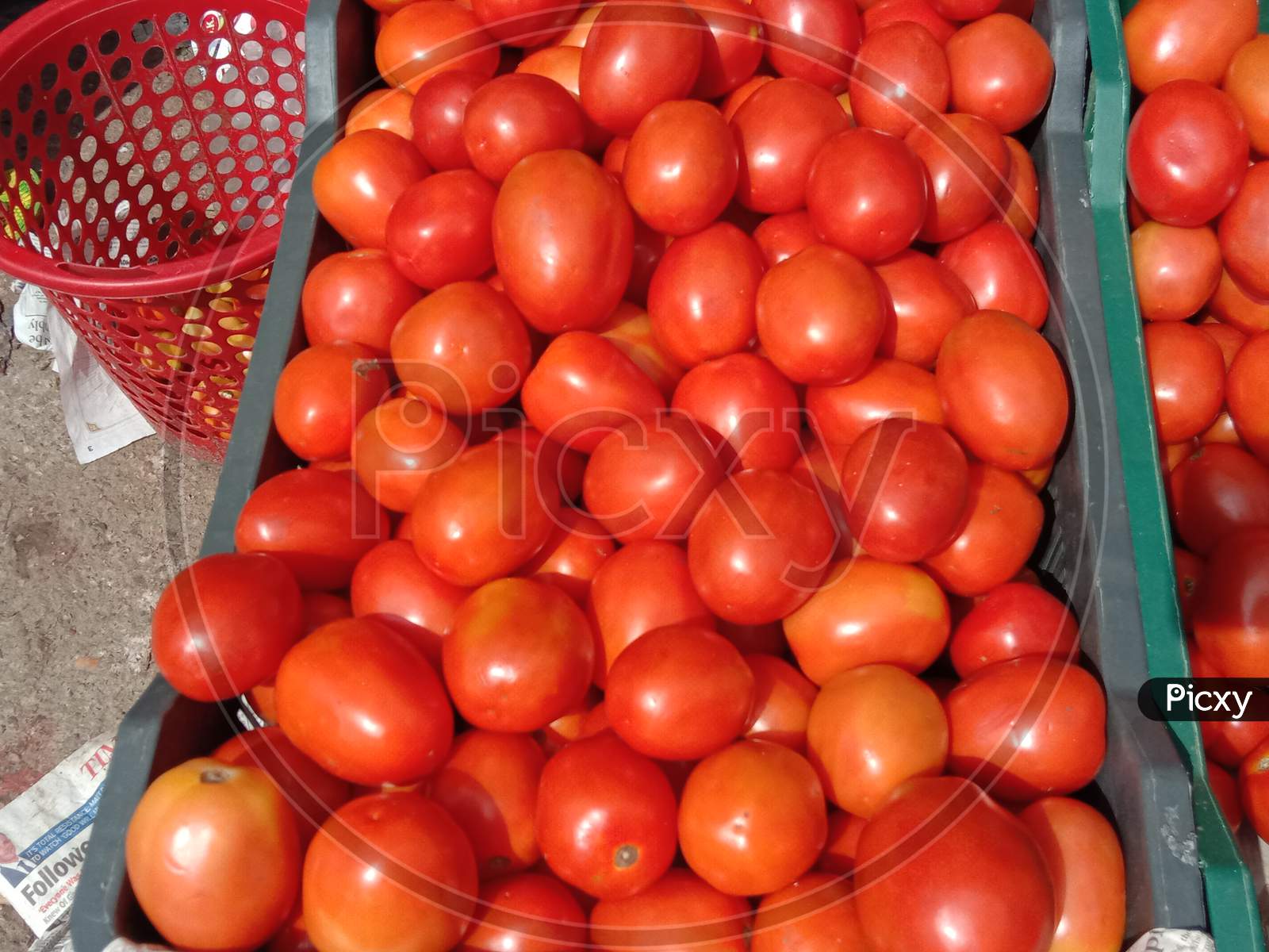 Fresh Tasty And Healthy Tomato Stock