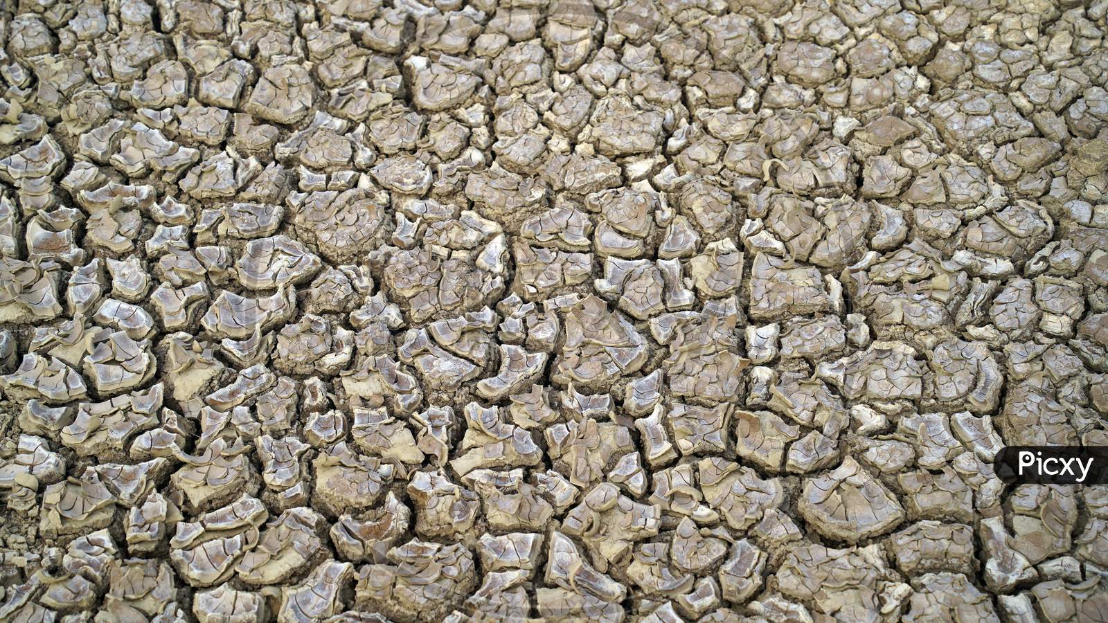 Desert. Aerial view of a beautiful cracks in the ground. texture, deep crack. Effects of heat and drought. effects of global warming. cracked desert landscape.