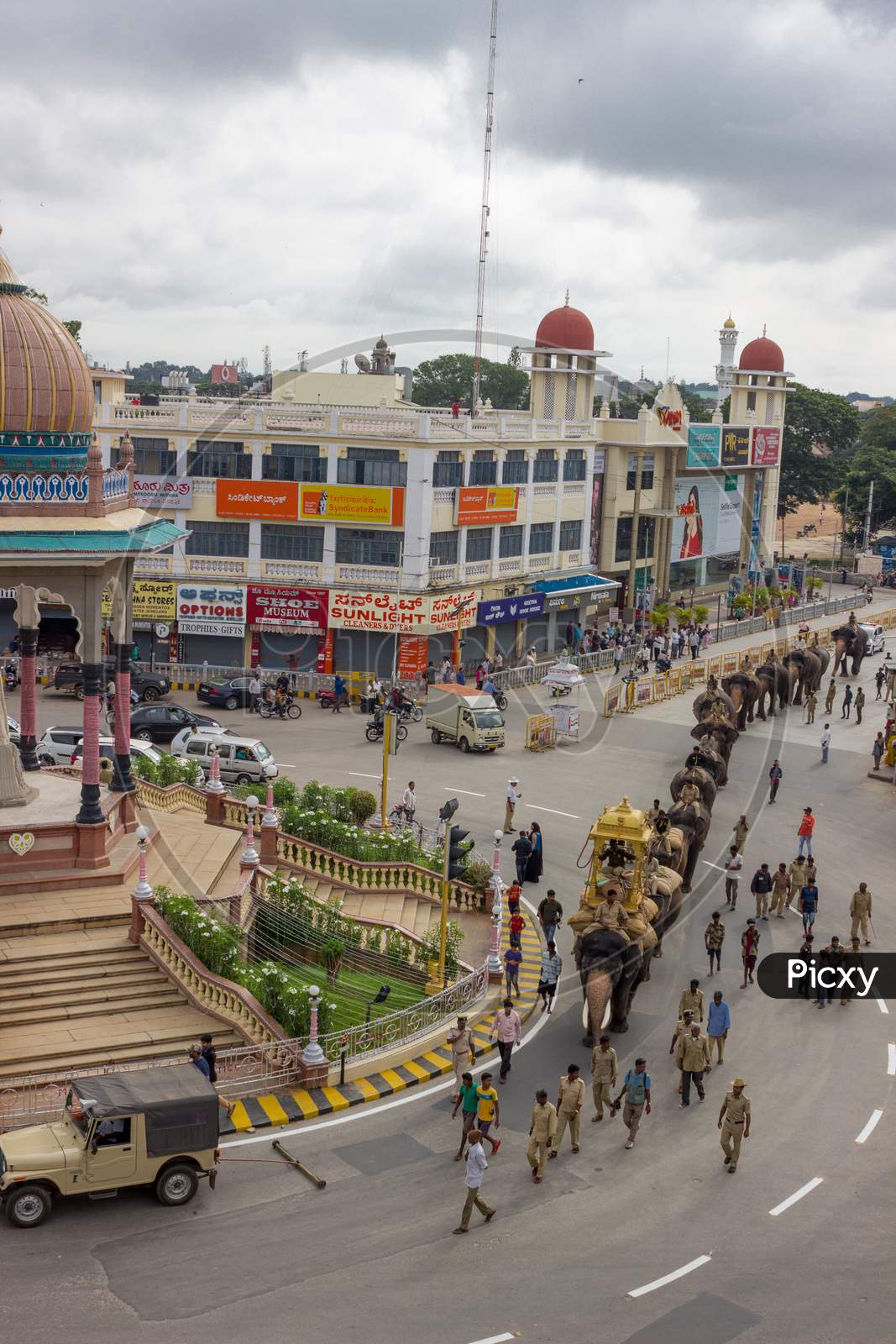 An Engaging Picture of Royal Elephants taking a Walk in Rehearsel for Dasara Procession in Mysuru cityscape of Karnataka/India.