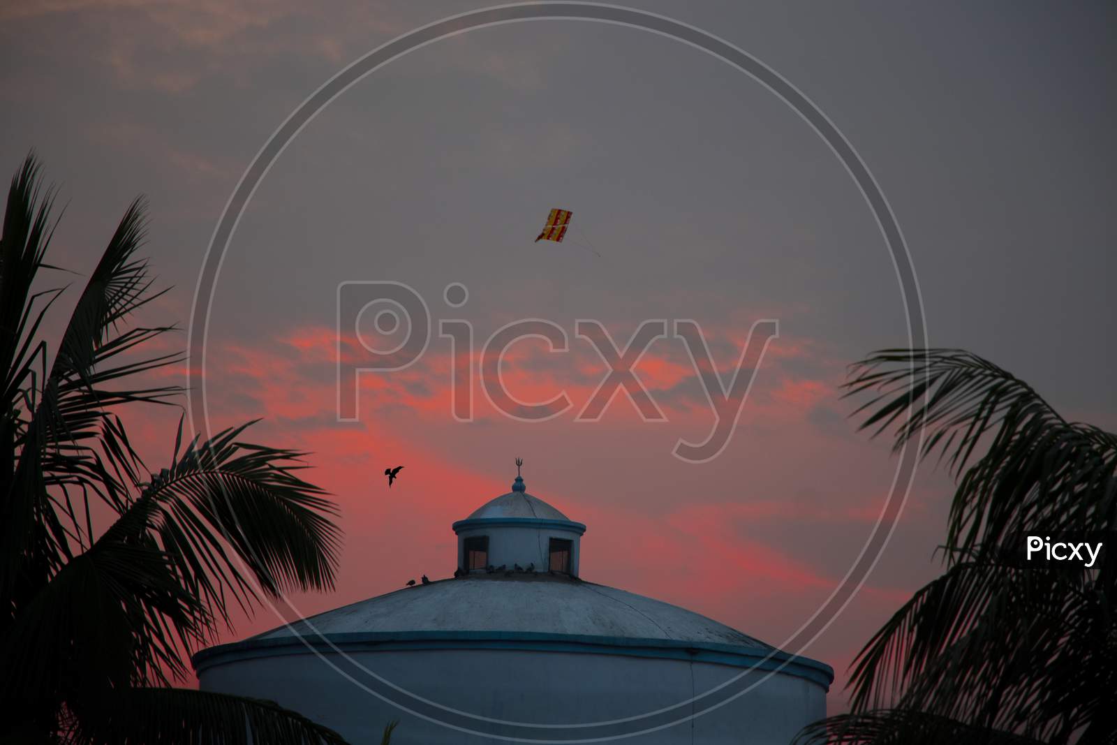 Flying Kites On A Sunset Time Stock Photo