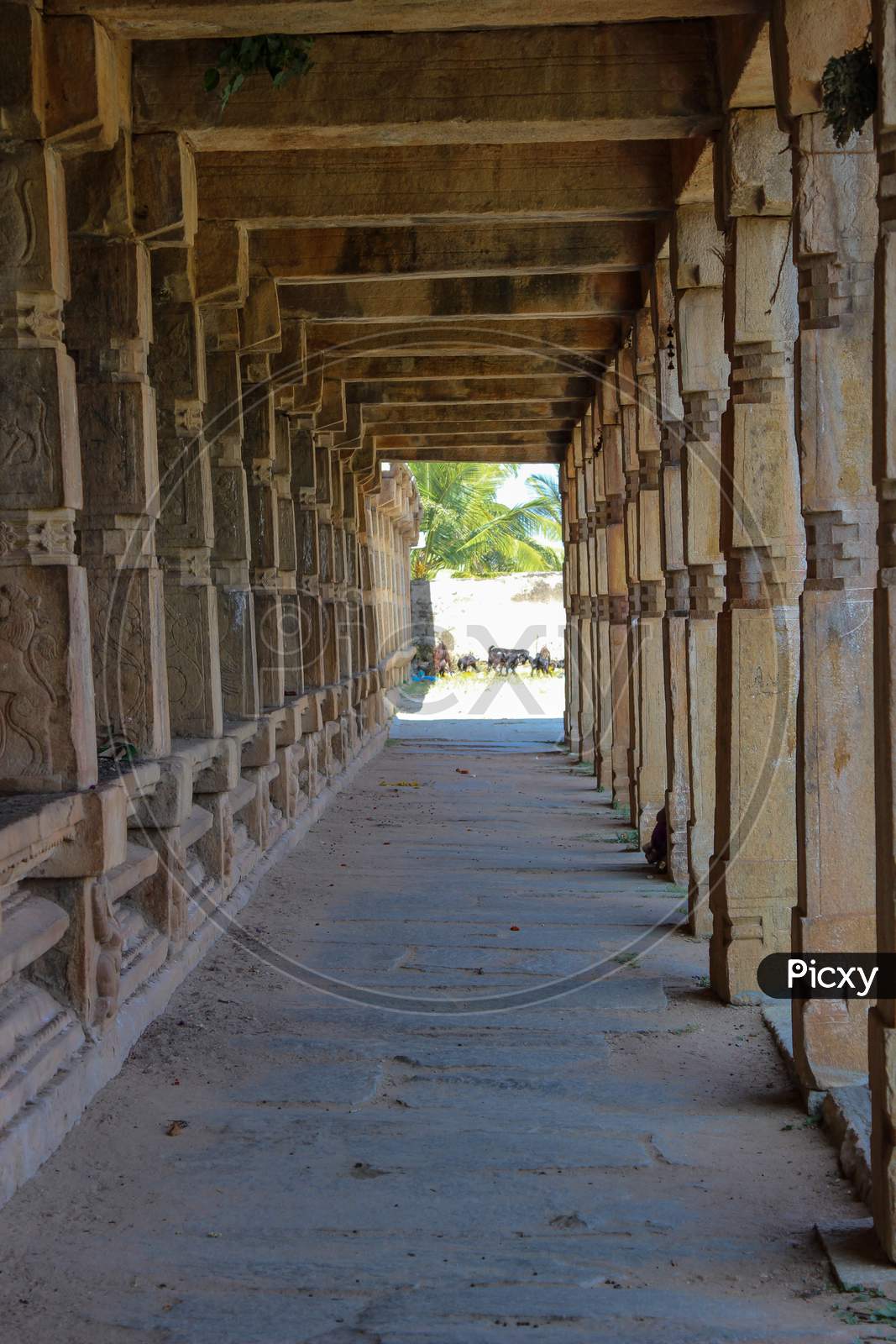 An Elegant view of the Stone pillar Passage of an Ancient Shiva temple at Melukote religious town near Mysuru in Karnataka/India.