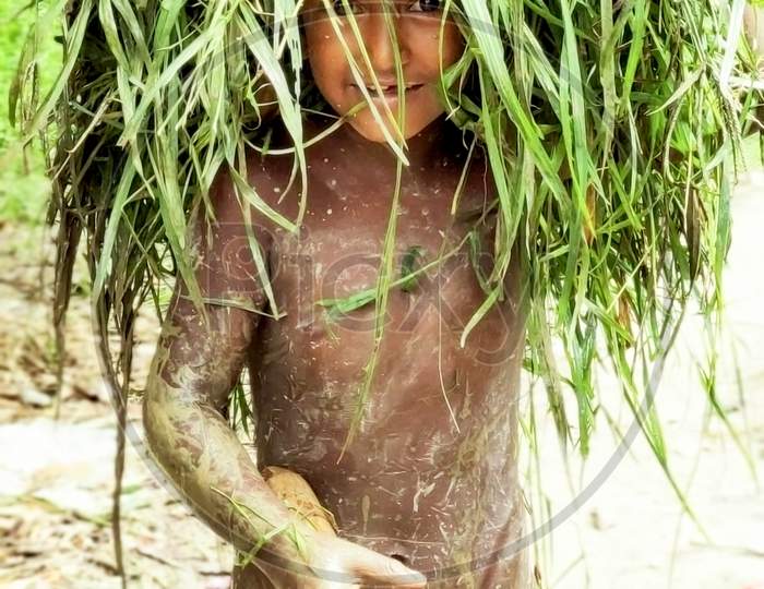Bangladeshi A Little Boy Is Caring Fresh Grasses On His Head With A Charming Beautiful Smiley Happy Face .
