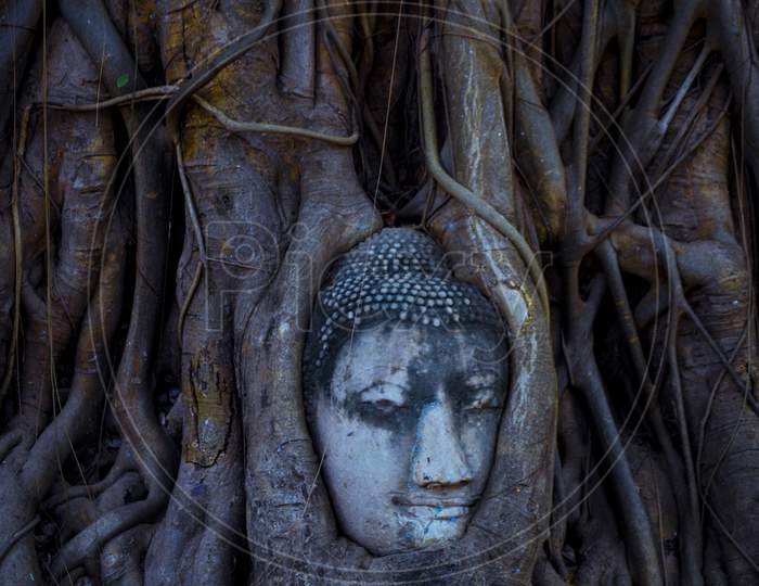 Image of Ayutthaya , Thailand Historic City Of Ayutthaya, Buddha In The ...