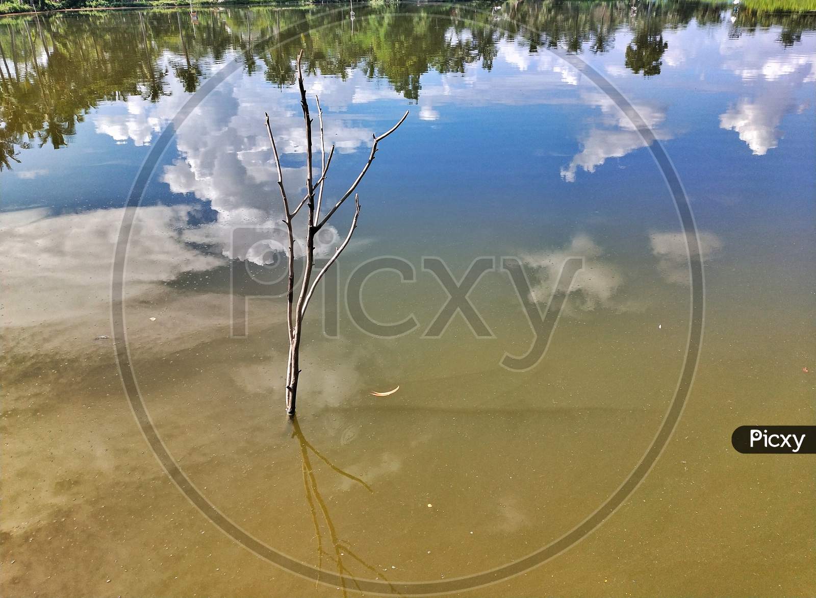 reflection of sky on water