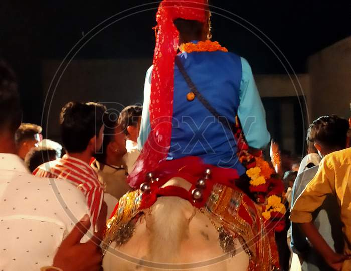 Bandoli-The Indian Marriage Procession