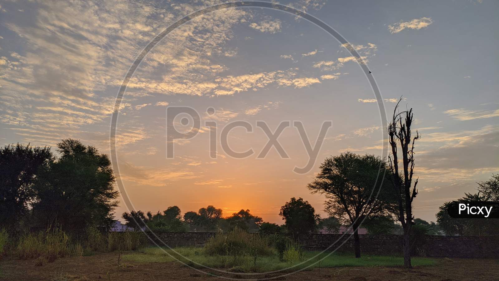 Beautiful Typical Countryside Summer Landscape. Sunrise Over The Green Fields In Jaipur, India.