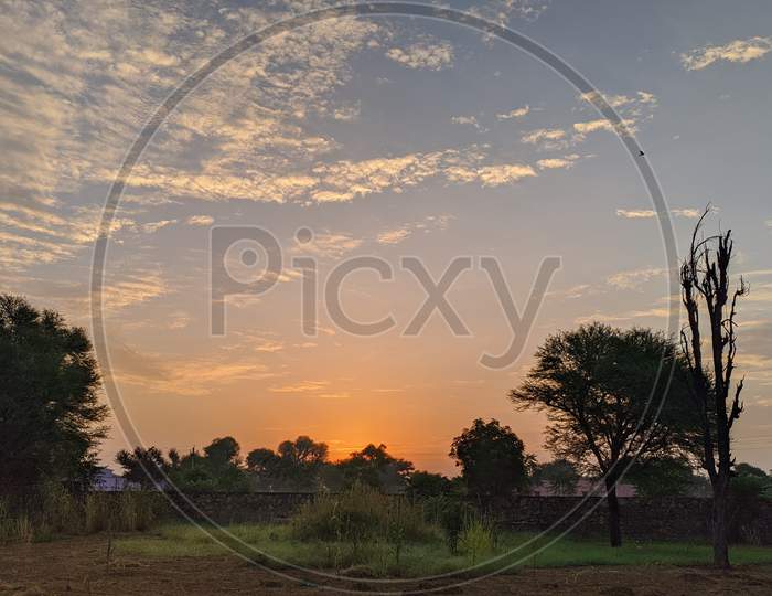 Beautiful Typical Countryside Summer Landscape. Sunrise Over The Green Fields In Jaipur, India.