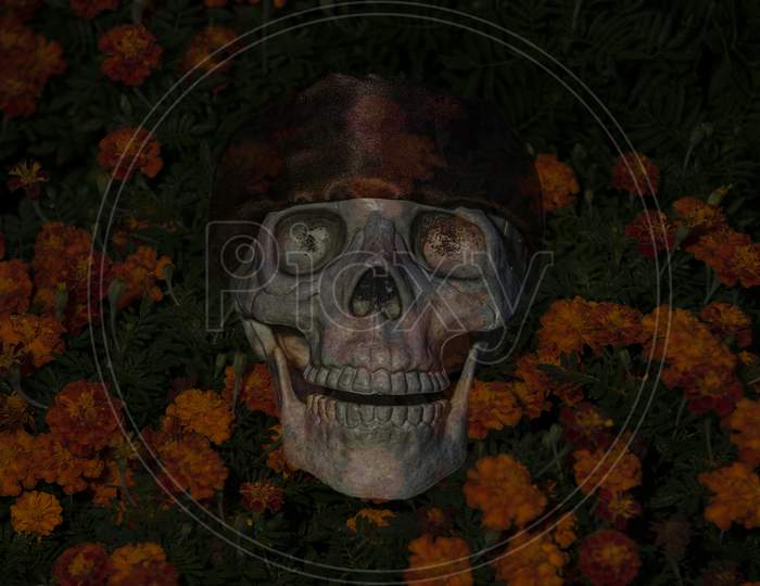 Halloween skull in a bed of  marigolds