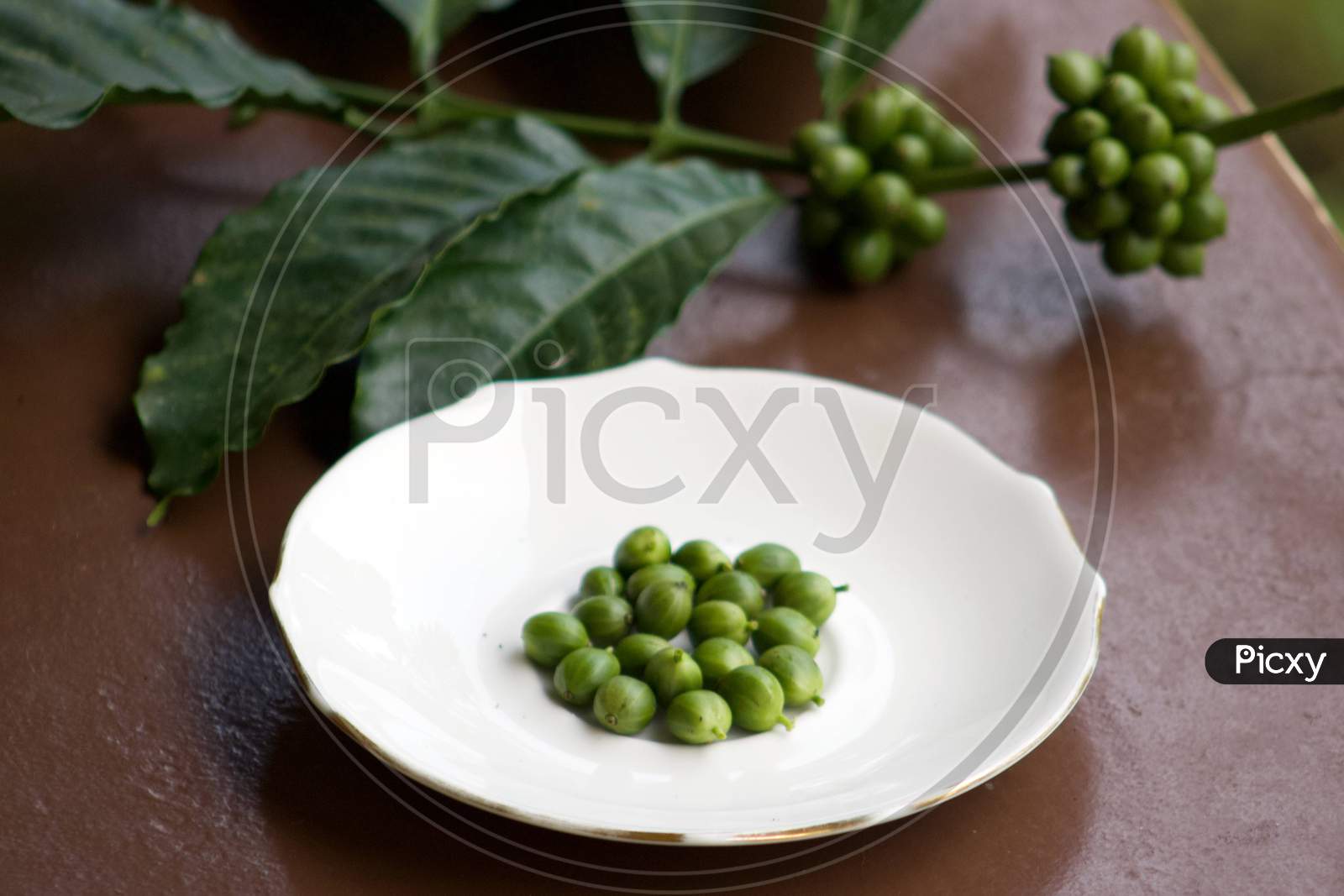 raw coffee fruits with leaves