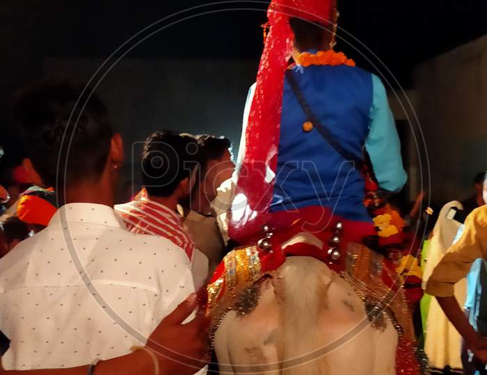 Bandoli-The Indian Marriage Procession