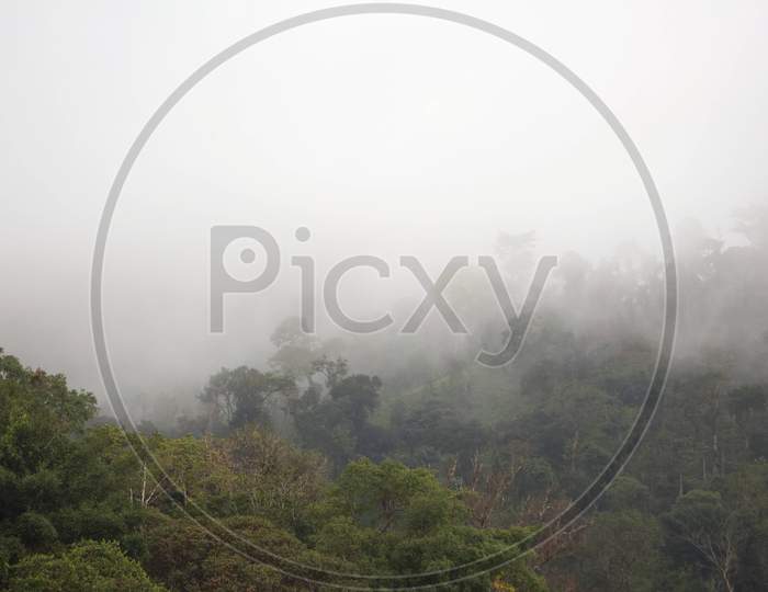 Misty hills near Perumbadi Lake