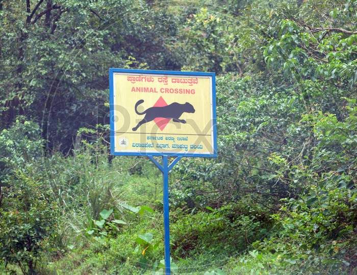 wild life road crossing signs in virajpet forest