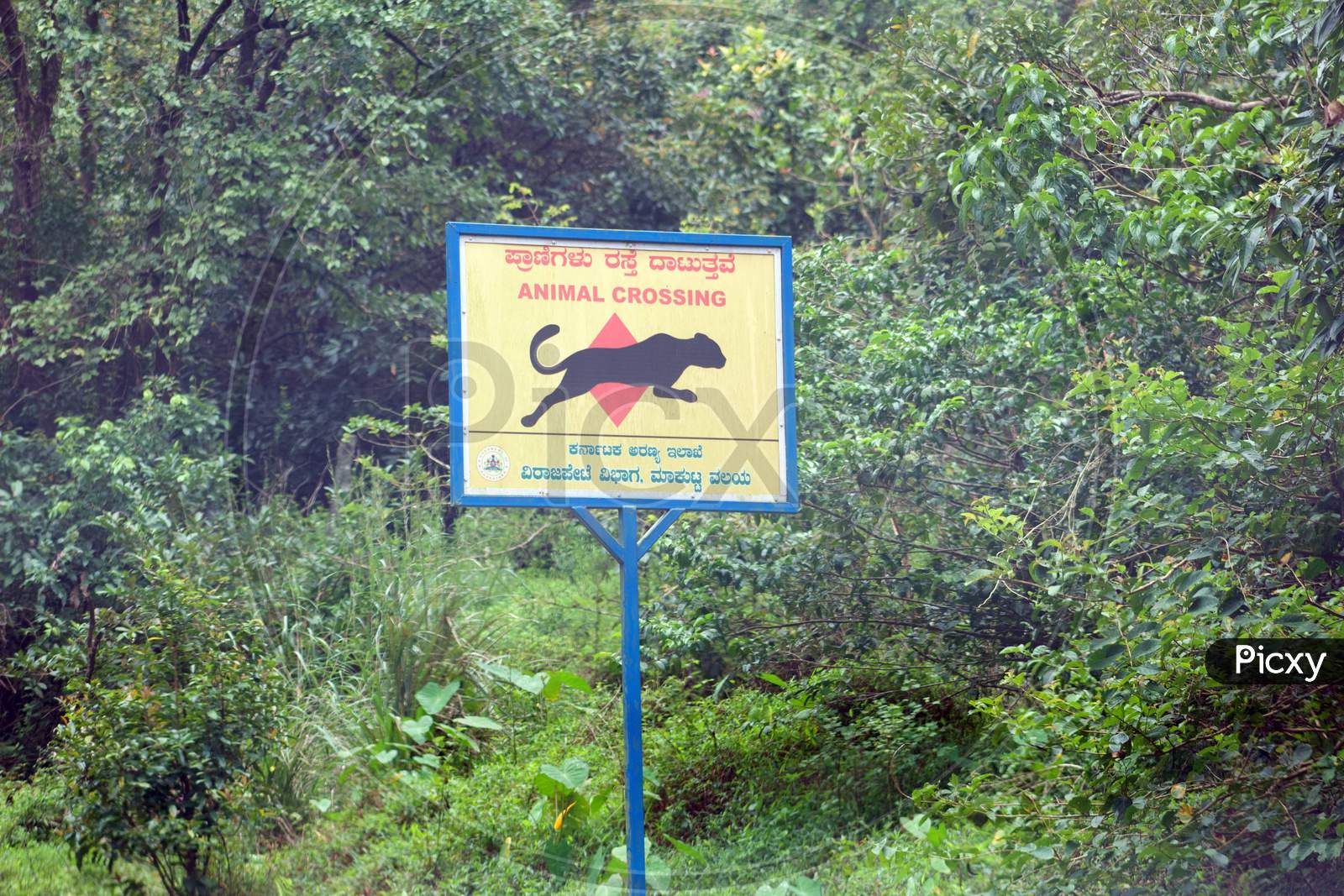 wild life road crossing signs in virajpet forest