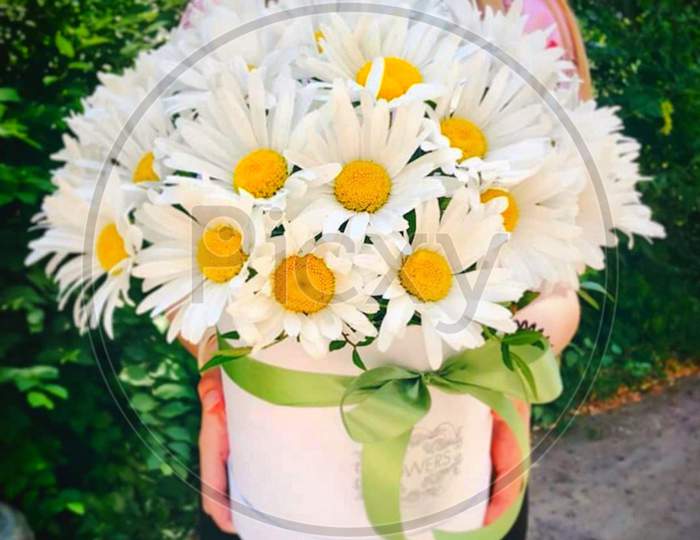 White flowerpot