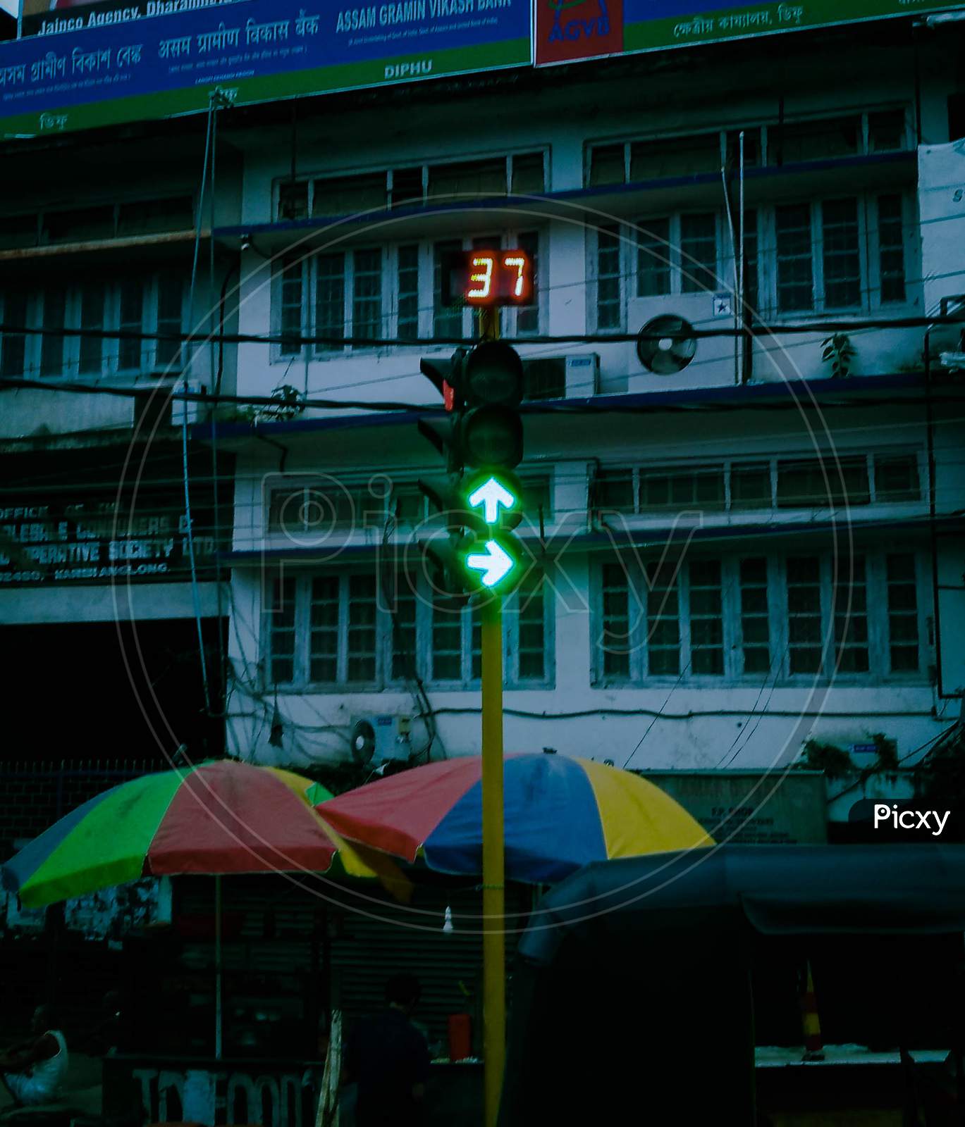 Traffic signal light