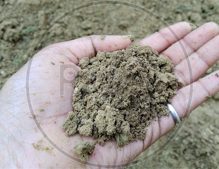Selective Focus On Soil In Girl's Hand