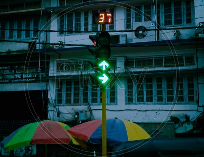 Traffic signal light
