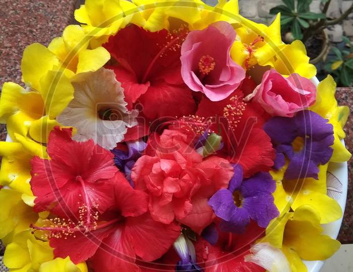 Colourful Flowers in a basket