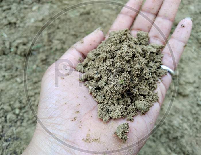 Selective Focus On Soil In Girl's Hand