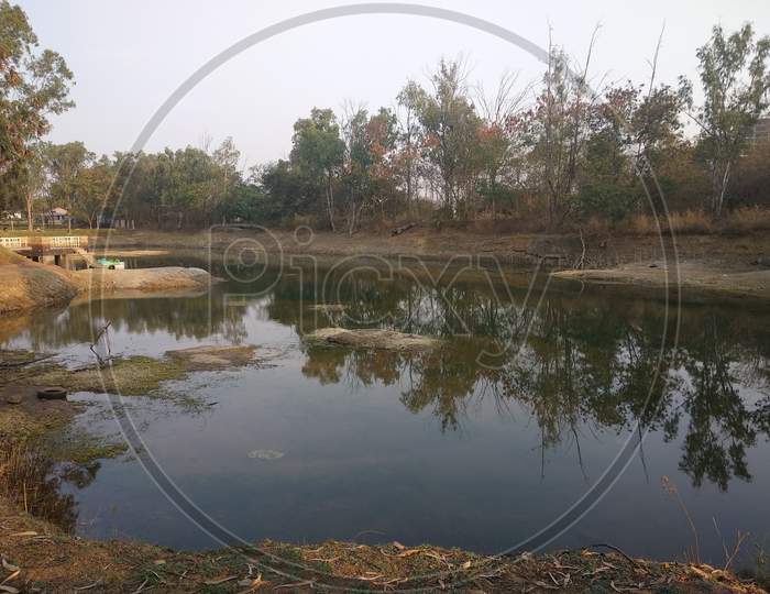 Drying Pond, Pond in the park