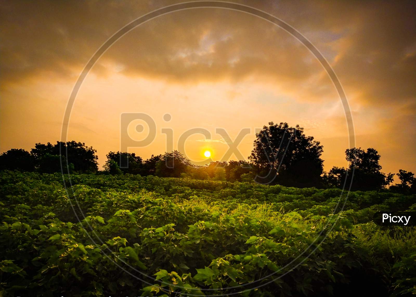 morning farm sun rise seen capture