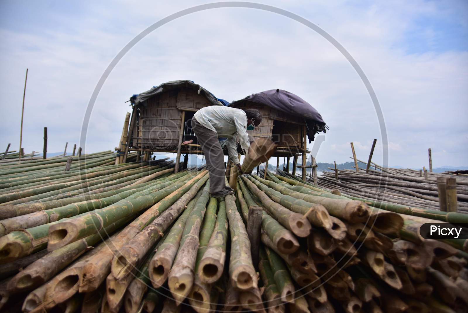 A Worker arranges bamboo at a bamboo market on the banks of the river Brahmaputra in Guwahati  On Oct 22,2020.