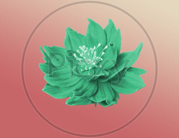 Flower design pattern