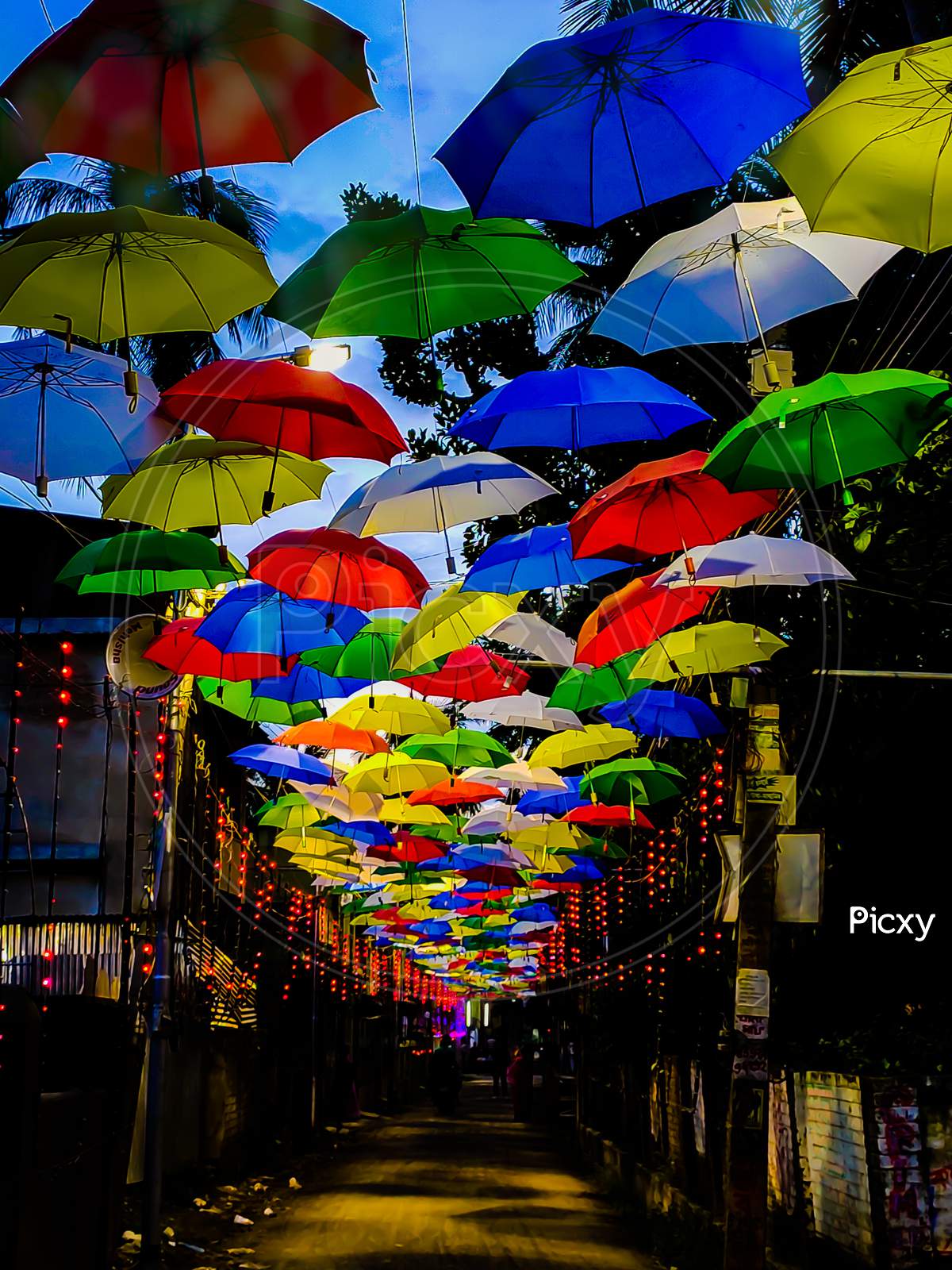Umbrella street(DURGA PUJA)