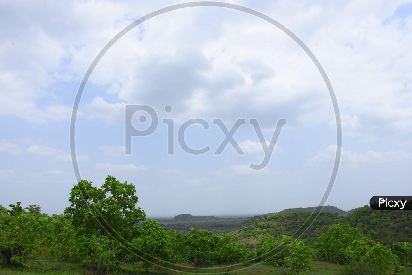 Natural backgraud click with cloudy nature