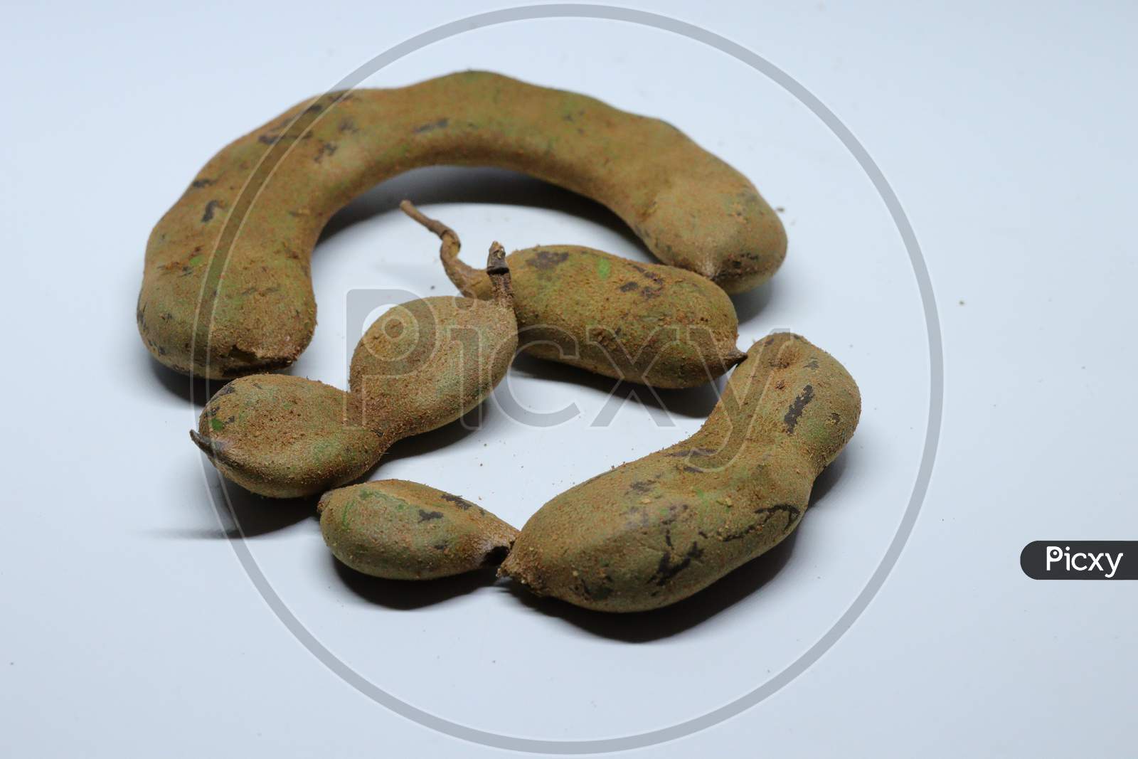 Image Of Fresh Young Green Tamarind Tamarindus Indica Isolated On White Background Cq Picxy