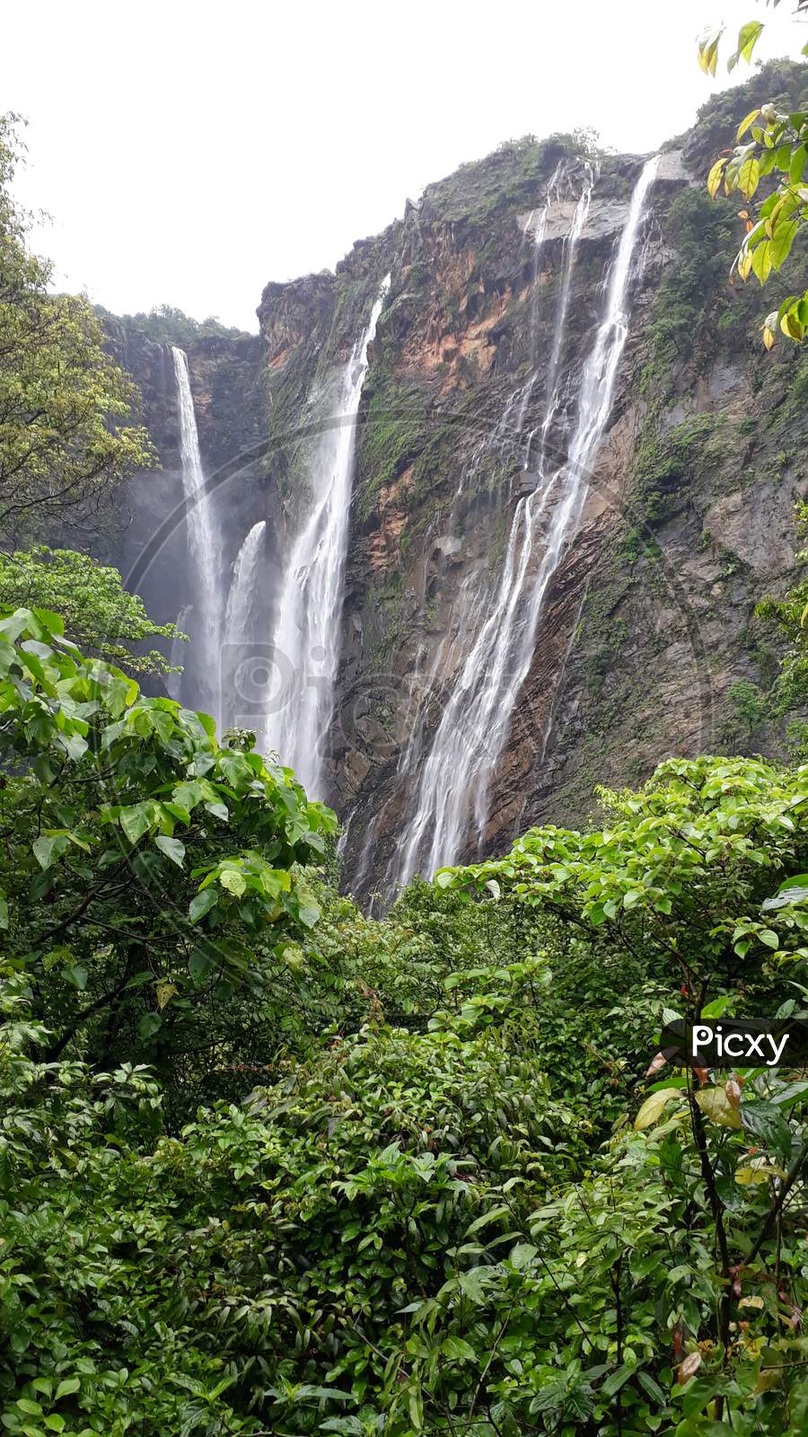 See Through Nature , waterfalls , Karnataka