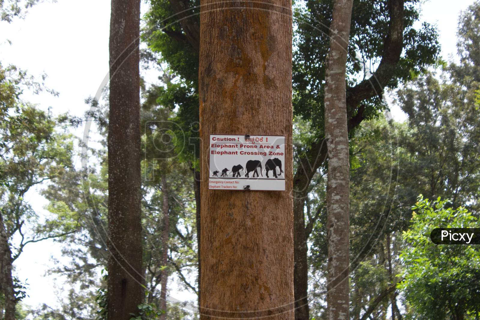 Wild Elephant Warning sign for guests in Tata Coffee plantations, Coorg.