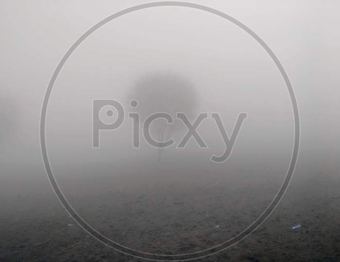 Fog Atmospheric phenomena tree