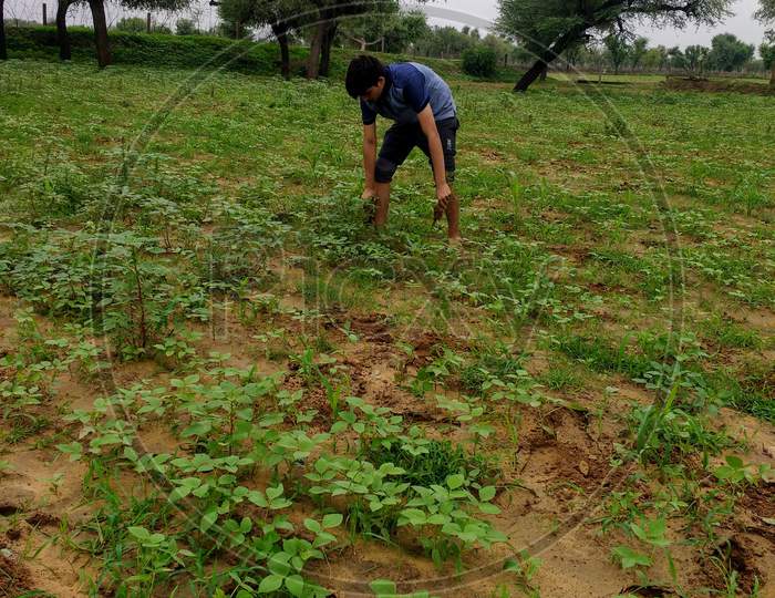 Farming rural india plants agriculture