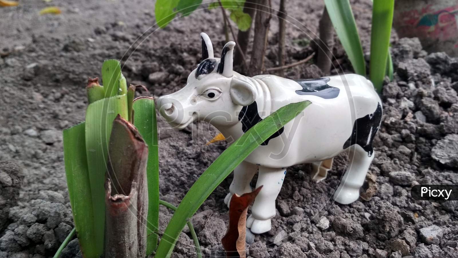 toy cow in the field