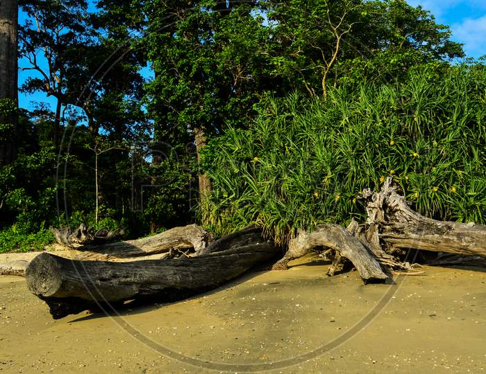 Munda Pahad Beach on Andaman Islands