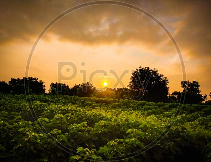 morning farm sun rise seen capture