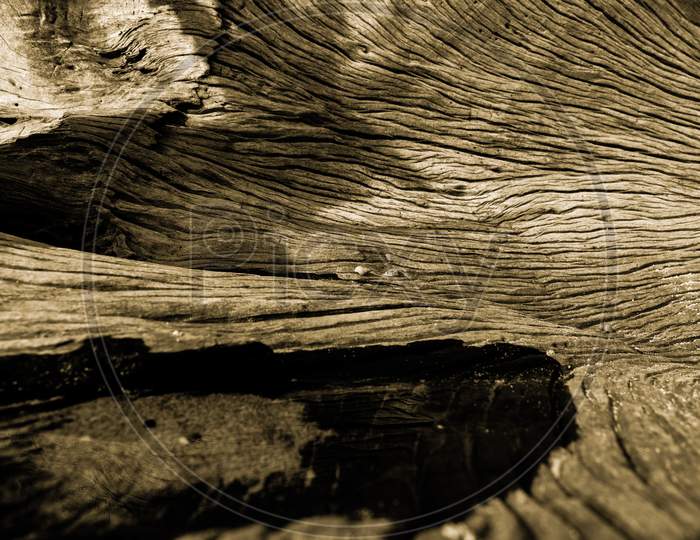 Macro photo of texture on a wood