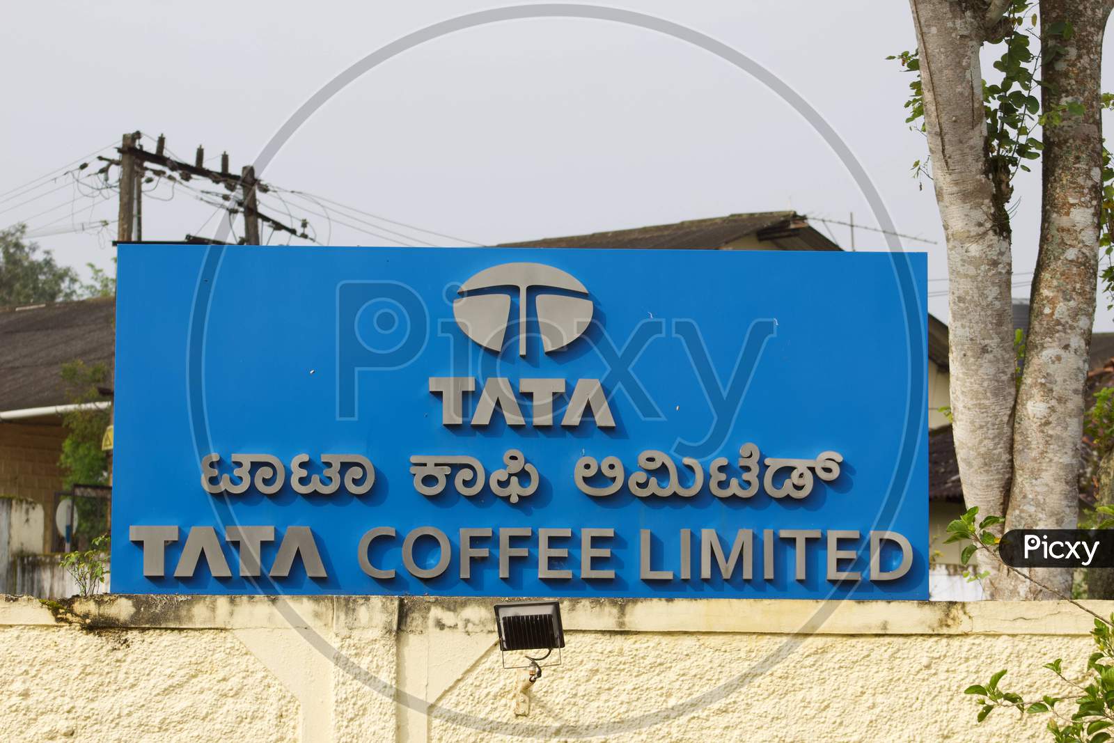 Tata coffee Limited