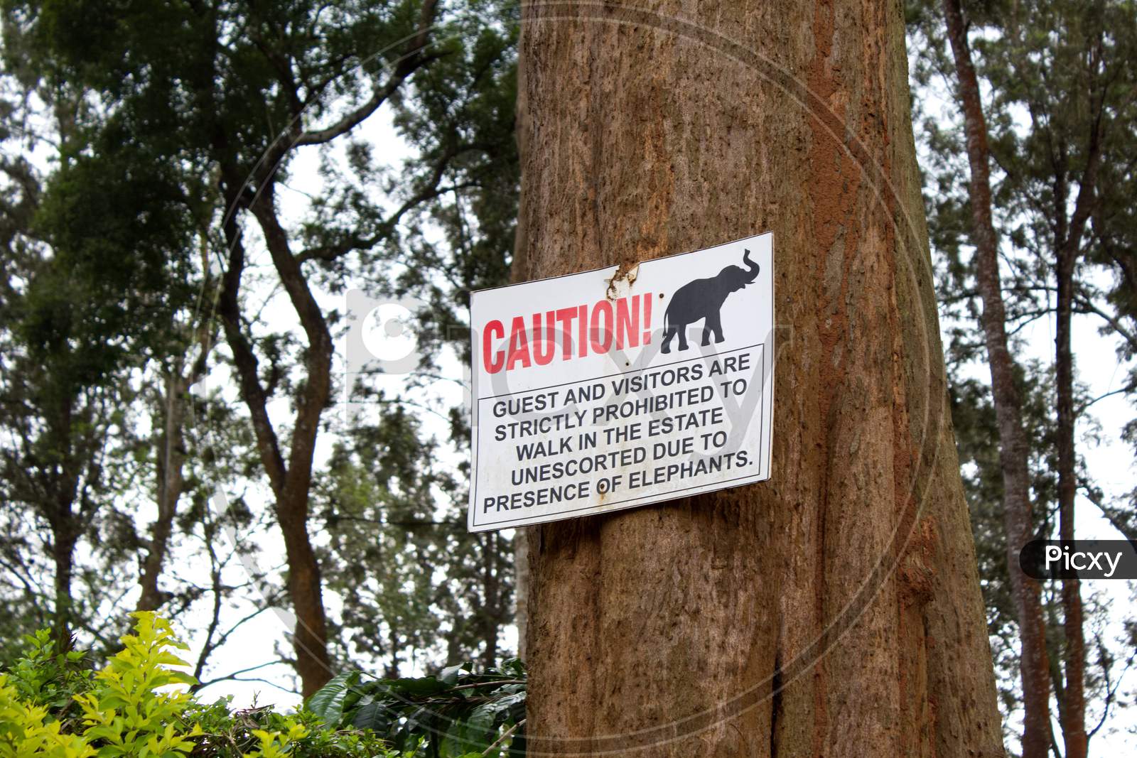 Wild Elephant Warning sign for guests in Tata Coffee plantations, Coorg.